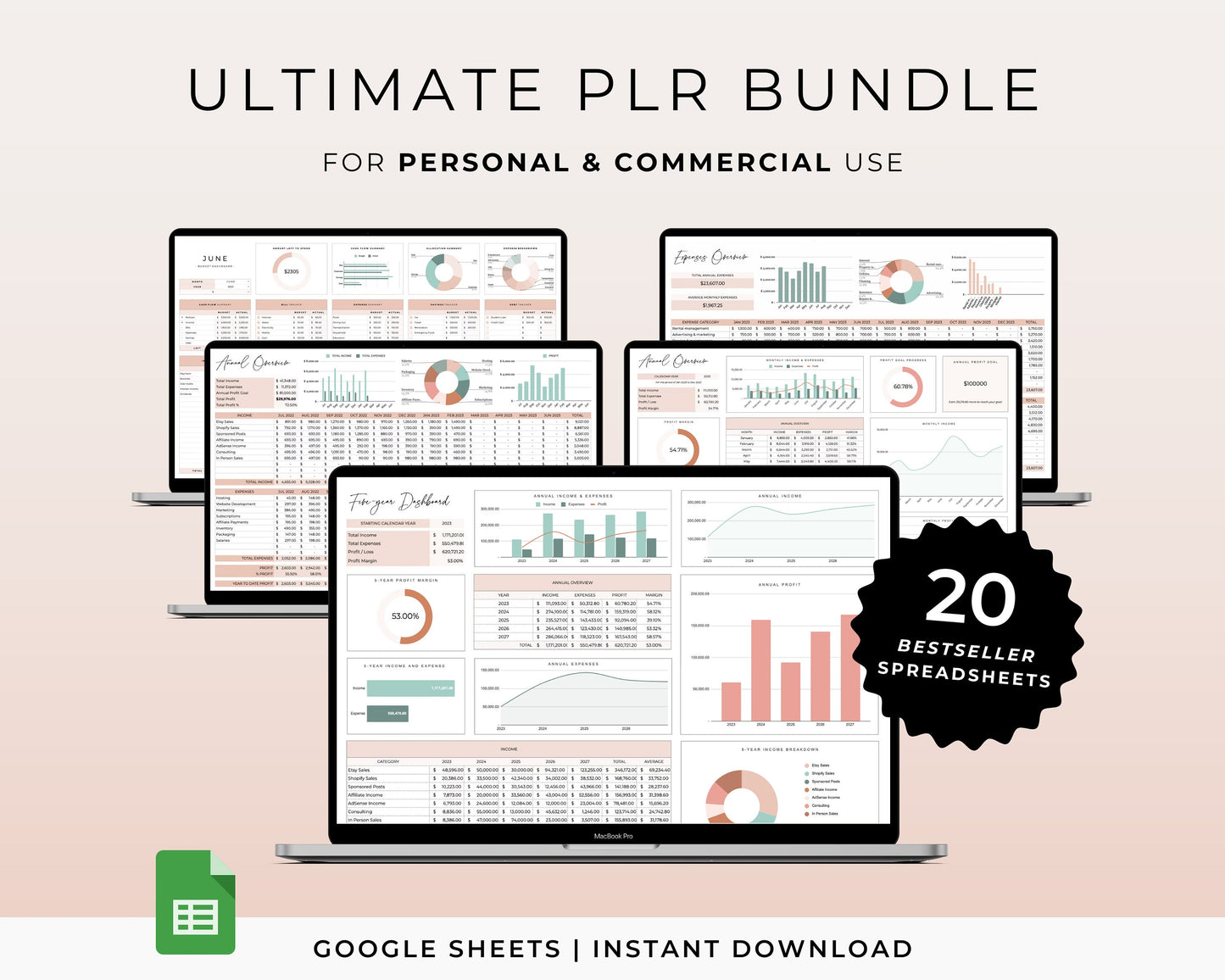 PLR Digital Products Bundle, PLR Spreadsheet, Master Resell Rights, Private Label Budget Spreadsheet, PLR Templates, Planner, Google Sheets