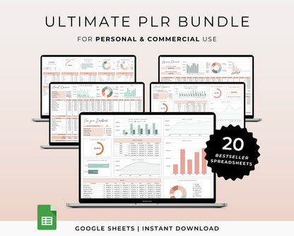PLR Digital Products Bundle, PLR Spreadsheet, Master Resell Rights, Private Label Budget Spreadsheet, PLR Templates, Planner, Google Sheets