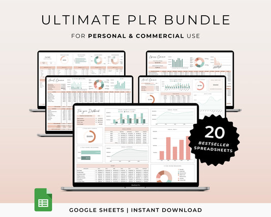 PLR Digital Products Bundle, PLR Spreadsheet, Master Resell Rights, Private Label Budget Spreadsheet, PLR Templates, Planner, Google Sheets
